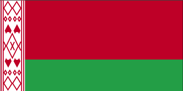 Biélorussie 2017 : les 13 finalistes