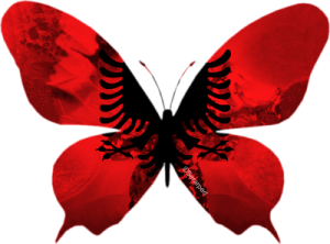 Albanie-papillon