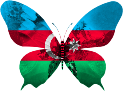 Azerbaïdjan 2013 : Farid, celui qu’on attendait