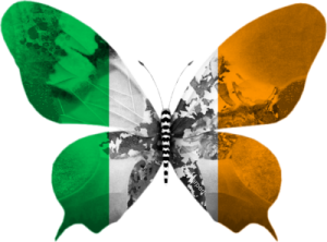 Irlande-papillon