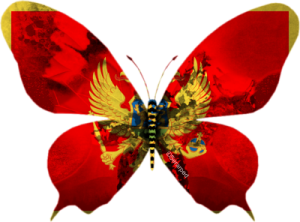 Montenegro-papillon