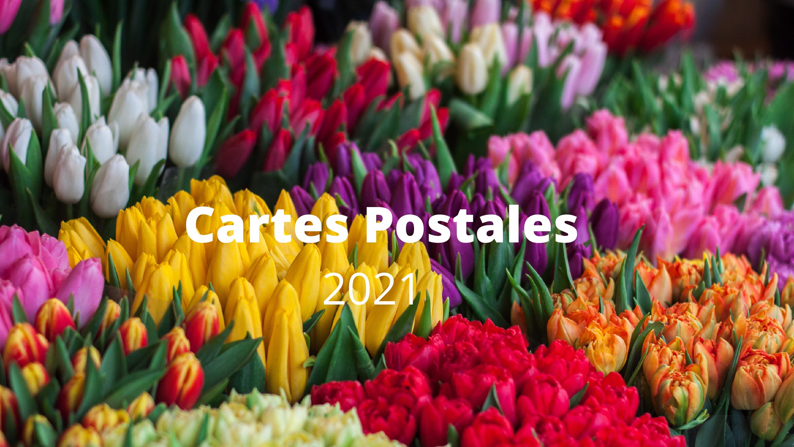 Cartes Postales 2021 (3ème partie) : Laquelle préférez-vous?