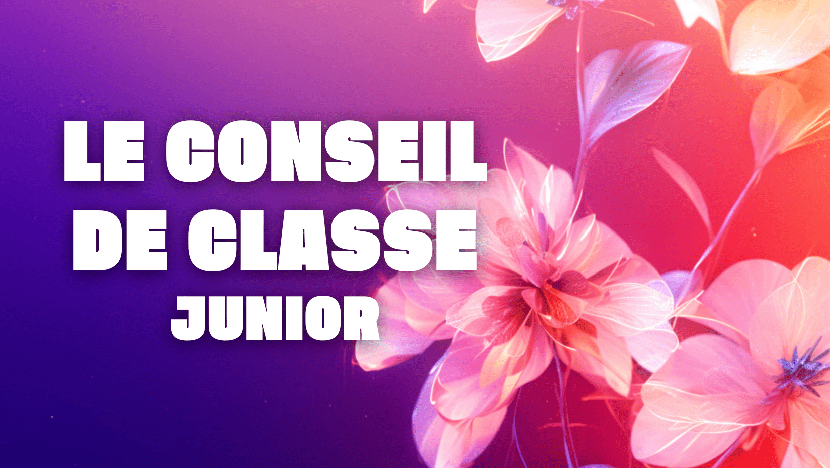 Conseil de Classe junior Visuel | L'Eurovision au Quotidien